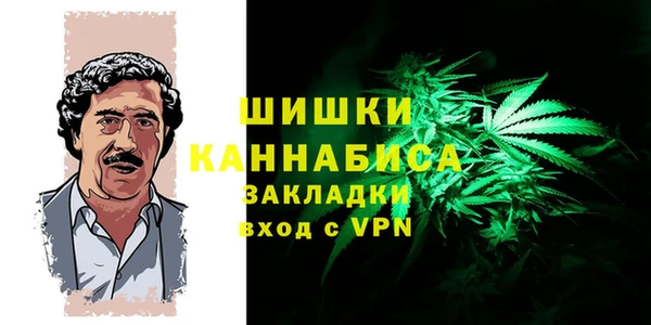 ГАЛЛЮЦИНОГЕННЫЕ ГРИБЫ Белокуриха
