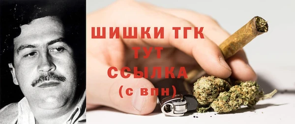 PSILOCYBIN Беломорск