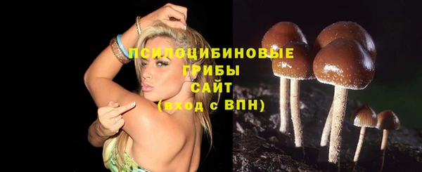 метадон Белоозёрский