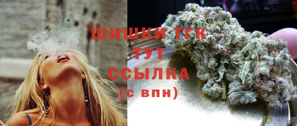 ГАЛЛЮЦИНОГЕННЫЕ ГРИБЫ Белокуриха